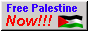 Free Palestine now button